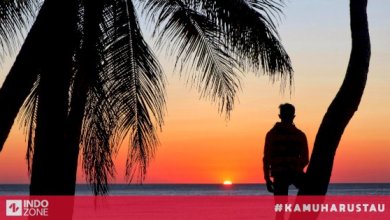 Pesona Pantai Uinian yang bertebaran pasir putih adalah secuil surga di Pulau Semau, NTT Pesona Pantai Uinian yang bertebaran pasir putih adalah secuil surga di Pulau Semau, NTT