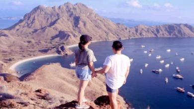 Wisata Labuan Bajo, dari open trial Rp 600.000 hingga Sailing Komodo 3 hari Rp 2,5 juta Wisata Labuan Bajo, dari open trial Rp 600.000 hingga Sailing Komodo 3 hari Rp 2,5 juta