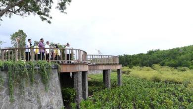 Kenali Taman Hutan Raya Ngurah Rai di Bali, tempat yang dikunjungi peserta KTT G20 hari ini Kenali Taman Hutan Raya Ngurah Rai di Bali, tempat yang dikunjungi peserta KTT G20 hari ini