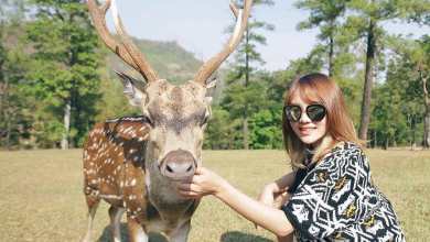 9 tempat wisata murah untuk keluarga dan anak di bogor 9 tempat wisata murah untuk keluarga dan anak di bogor