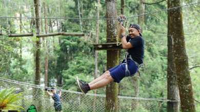 Kopeng Treetop Adventure Park, wahana, fasilitas dan tiket masuk Kopeng Treetop Adventure Park, wahana, fasilitas dan tiket masuk