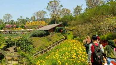 Tiket Masuk Rainbow Garden 2022, Fasilitas dan Tempat Wisata Tiket Masuk Rainbow Garden 2022, Fasilitas dan Tempat Wisata