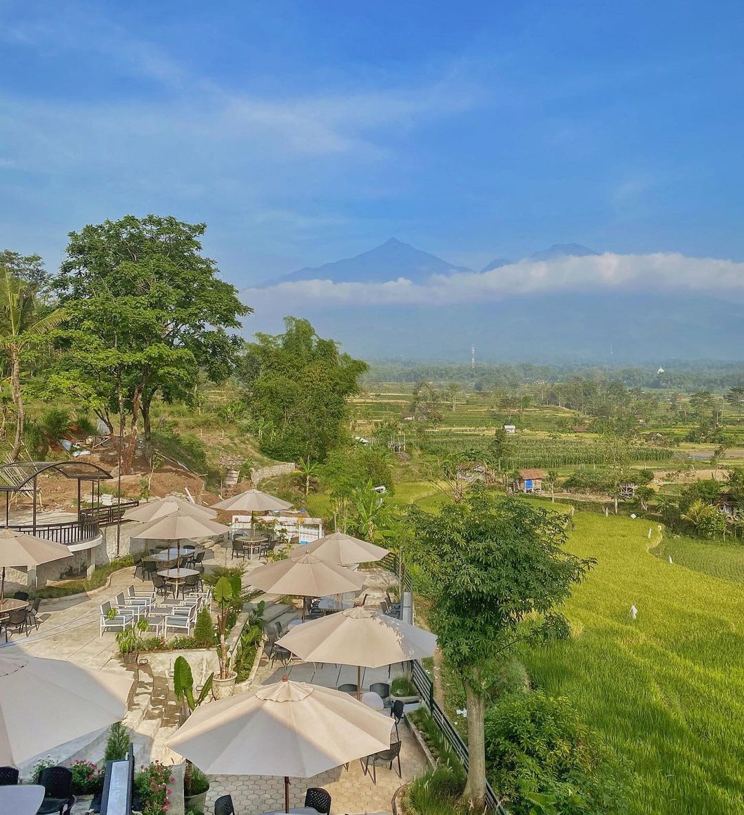 Harga menu Cafe E Pasuruan, tempat wisata dan alamat Harga menu Cafe E Pasuruan, tempat wisata dan alamat