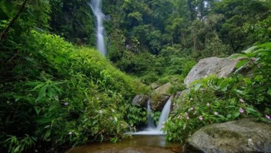 Air Terjun Semirang, objek wisata alam di Semarang yang diselimuti legenda Air Terjun Semirang, objek wisata alam di Semarang yang diselimuti legenda
