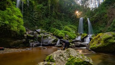 Air Terjun Kembar Grenjengan, air terjun mempesona di tengah panorama Hutan Pinus Magelang Air Terjun Kembar Grenjengan, air terjun mempesona di tengah panorama Hutan Pinus Magelang
