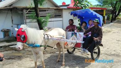 Puas dengan Andin dan Munaroh di pantai Gunungkidul, hanya Rp 50.000