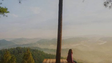 Bukit Pentulu Indah – Harga Tiket, Lokasi Rute dan Tempat Saat Ini 2023 Bukit Pentulu Indah – Harga Tiket, Lokasi Rute dan Tempat Saat Ini 2023