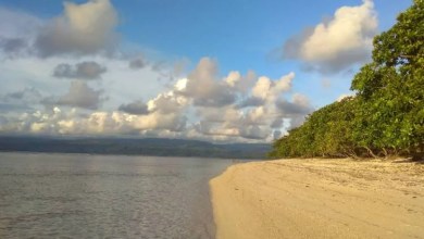 Pantai Tanjung Setia Lampung – Atraksi, Aktivitas Liburan, Lokasi & Harga Tiket