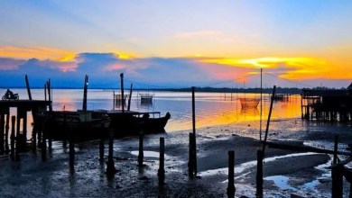 Pulau Kampai Langkat – Atraksi, Aktivitas Liburan, Lokasi Tour dan Biaya Pulau Kampai Langkat – Atraksi, Aktivitas Liburan, Lokasi Tour dan Biaya