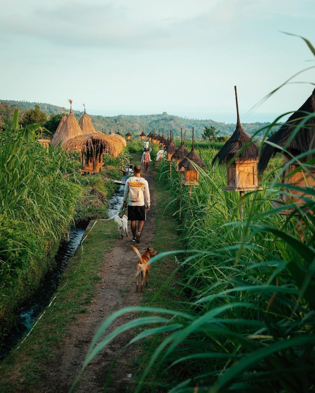 Lokasi & Harga Tiket Masuk Lembah Maha Gangga Bali Review Lokasi & Harga Tiket Masuk Lembah Maha Gangga Bali Review