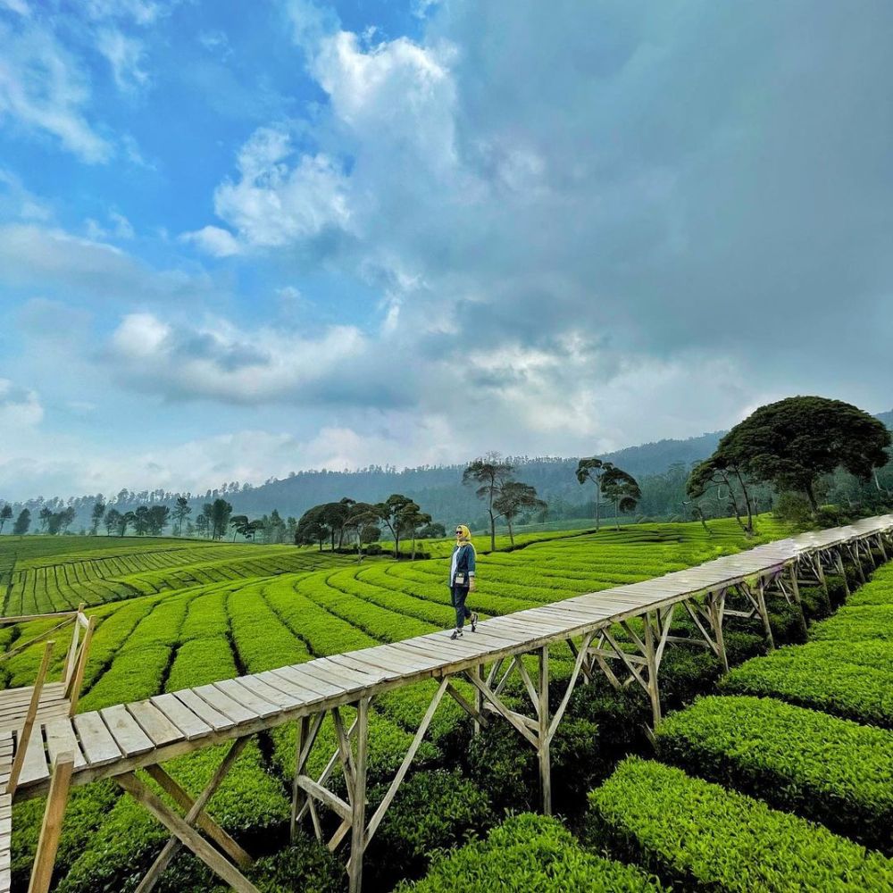 Mengunjungi Riung Nuansa Gunung Pangalengan