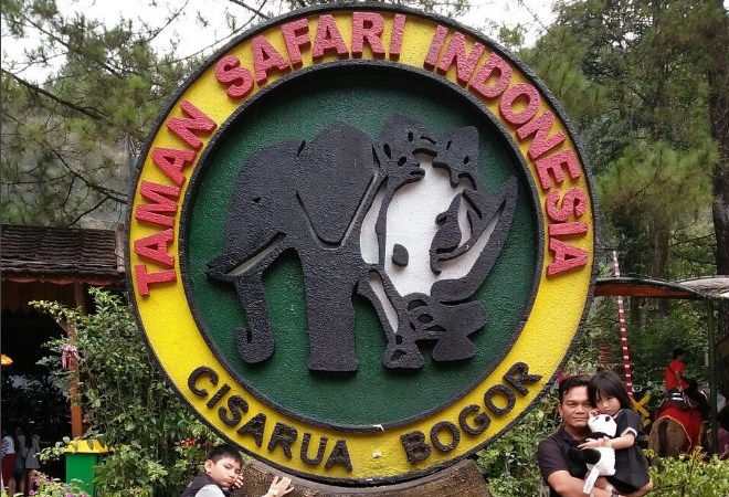 Taman Safari Bogor: harga tiket, foto, lokasi, fasilitas dan spot Taman Safari Bogor: harga tiket, foto, lokasi, fasilitas dan spot