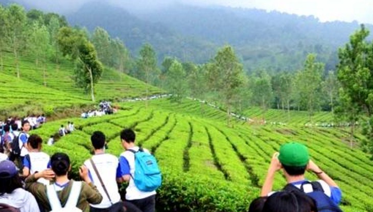 Taman Riung Gunung: harga tiket, foto, lokasi, fasilitas dan spot Taman Riung Gunung: harga tiket, foto, lokasi, fasilitas dan spot