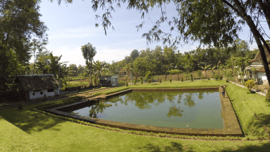 Candi Simbatan: Harga Tiket, Foto, Lokasi, Fasilitas dan Spot Candi Simbatan: Harga Tiket, Foto, Lokasi, Fasilitas dan Spot