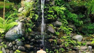 Harga tiket, atraksi, kegiatan rekreasi, dll