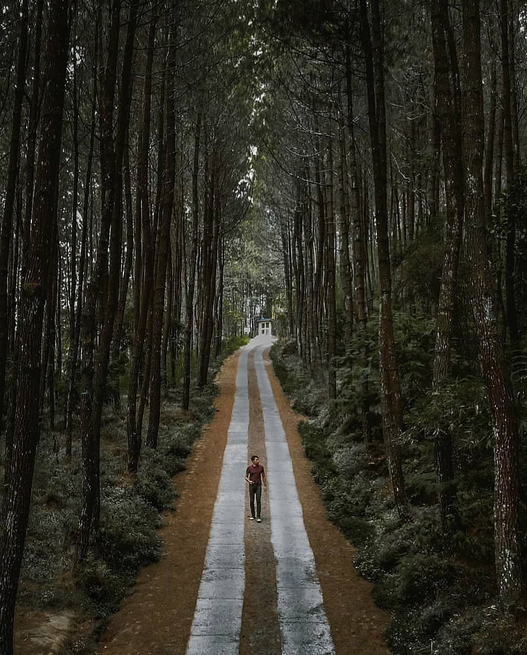 Selfie Kragilan Pinusan terbaik, harga tiket dan atraksi 2023 Selfie Kragilan Pinusan terbaik, harga tiket dan atraksi 2023