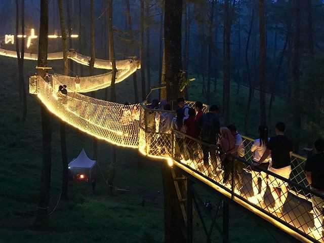 Suasana Orchid Forest Bandung di malam hari