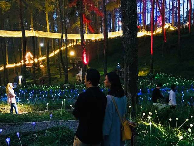 Taman Romantis Hutan Anggrek Bandung