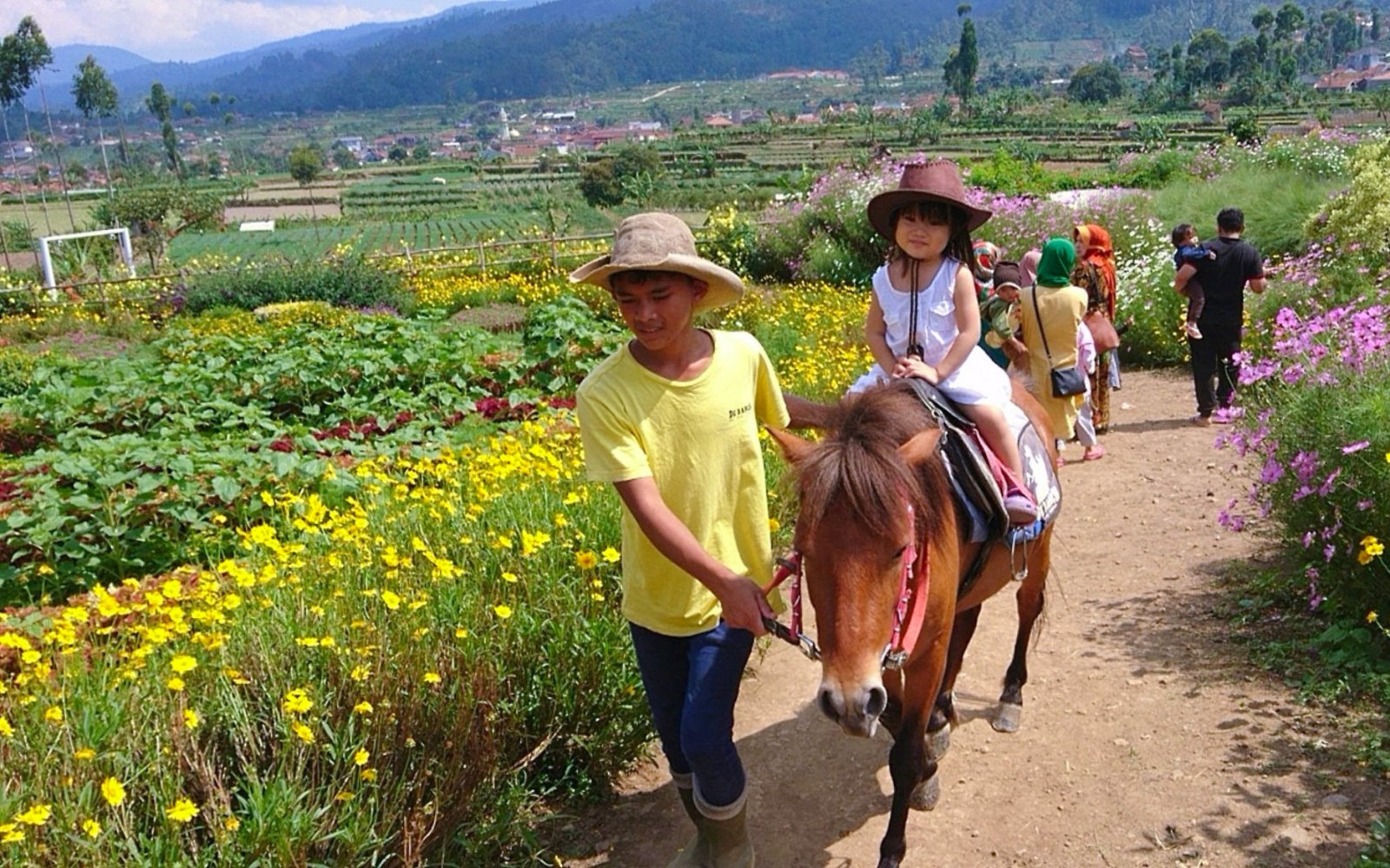 Wisata Keluarga Ramah Anak Happy Farm Ciwidey Januari 2024 Wisata Keluarga Ramah Anak Happy Farm Ciwidey Januari 2024