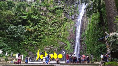 Tiket & Atraksi SEDUDO WATERFALL Januari 2023 Tiket & Atraksi SEDUDO WATERFALL Januari 2023