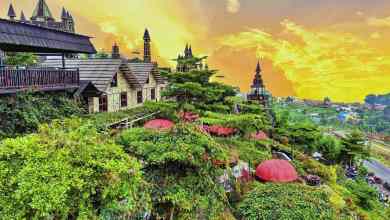 7 Destinasi Hutan Pinus Kuningan 7 Destinasi Hutan Pinus Kuningan