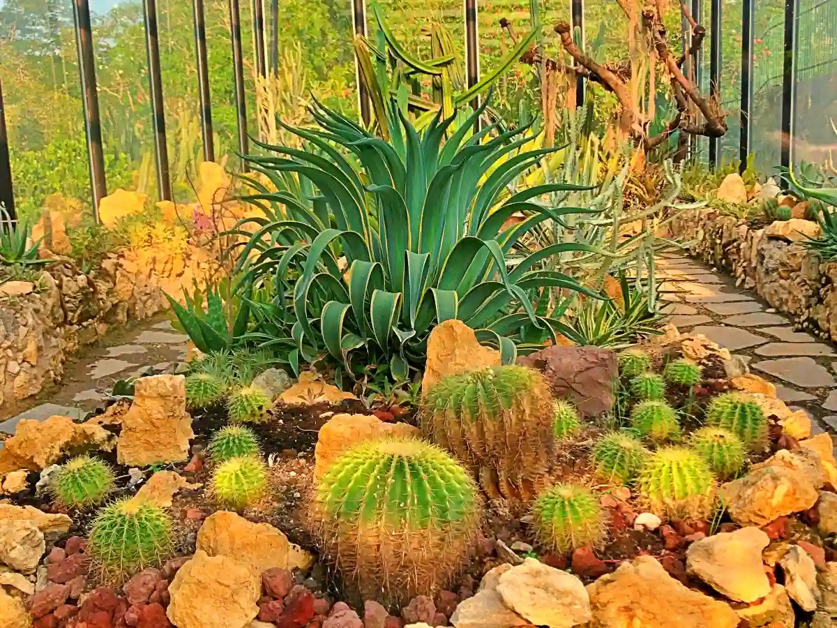 Tiket Kebun Raya Bogor dan 5 zona taman Tiket Kebun Raya Bogor dan 5 zona taman