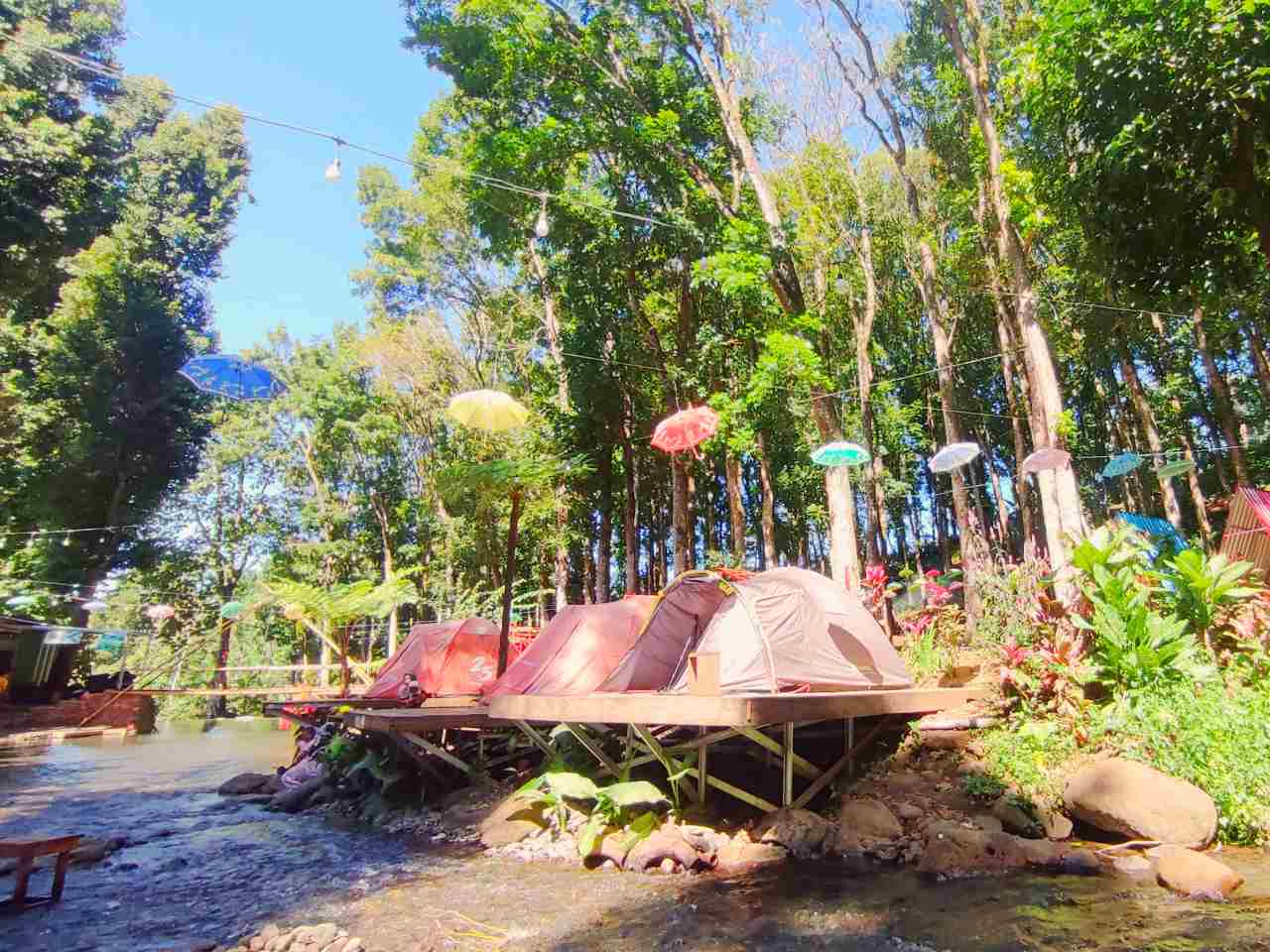 Tiket dan Objek Wisata KAMPUNG DURIAN Jember Januari 2024 Tiket dan Objek Wisata KAMPUNG DURIAN Jember Januari 2024