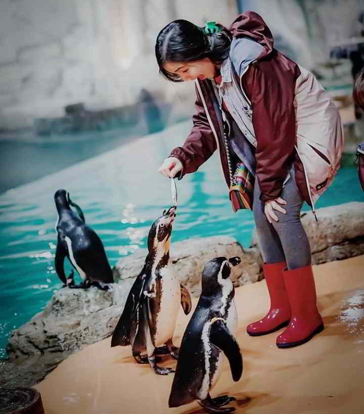 Jadwal Pertunjukan Ocean Dream Ocean Jadwal Pertunjukan Ocean Dream Ocean