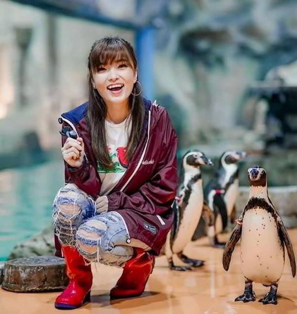 samudra mimpi samudra ancol samudra mimpi samudra ancol