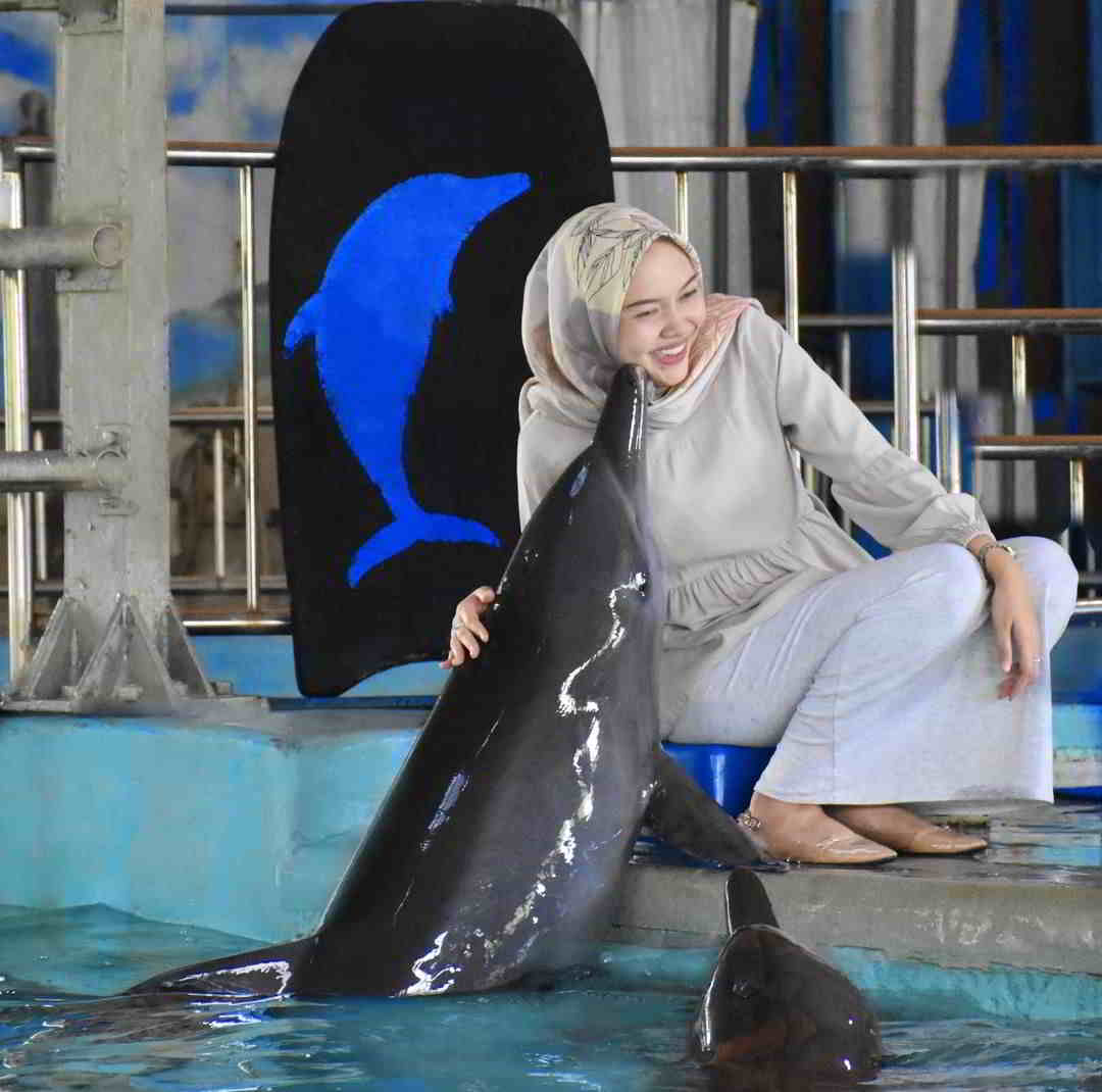 Ulasan Ocean Dream Ocean Ulasan Ocean Dream Ocean