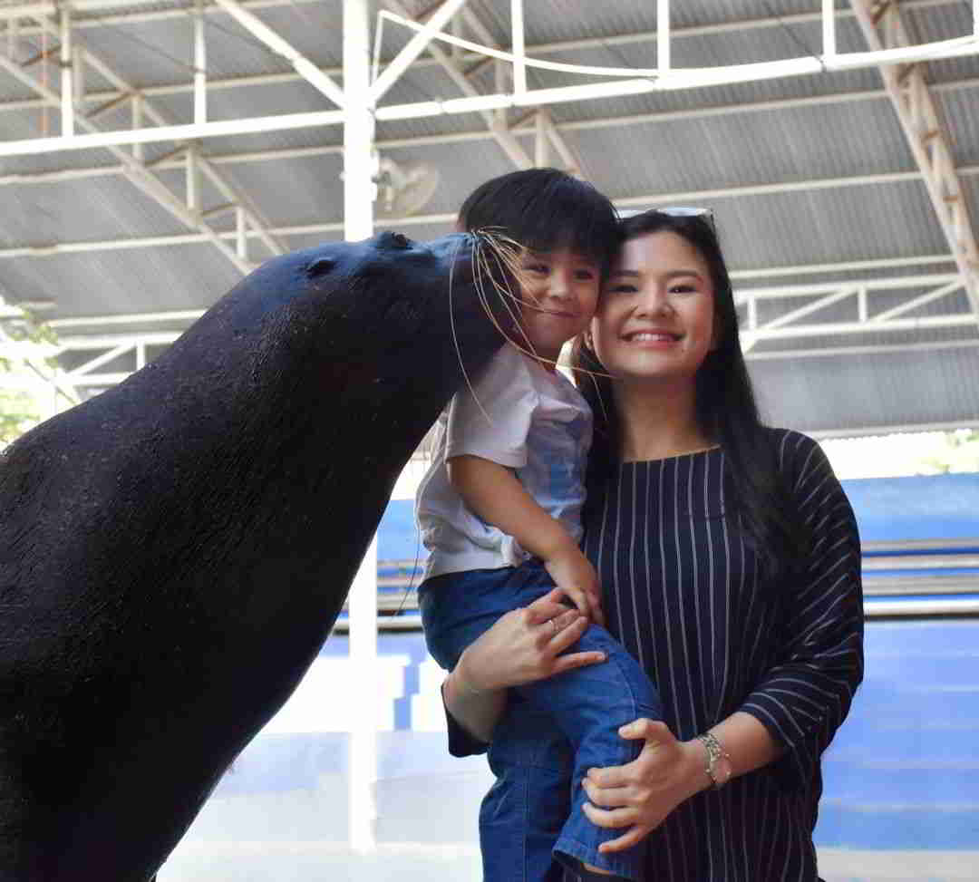 Tiket Ocean Dream Ocean Tiket Ocean Dream Ocean